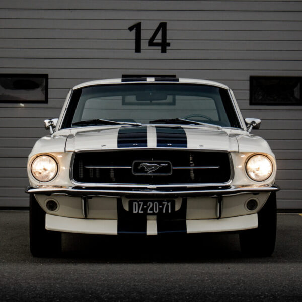 Ford Shelby White Car